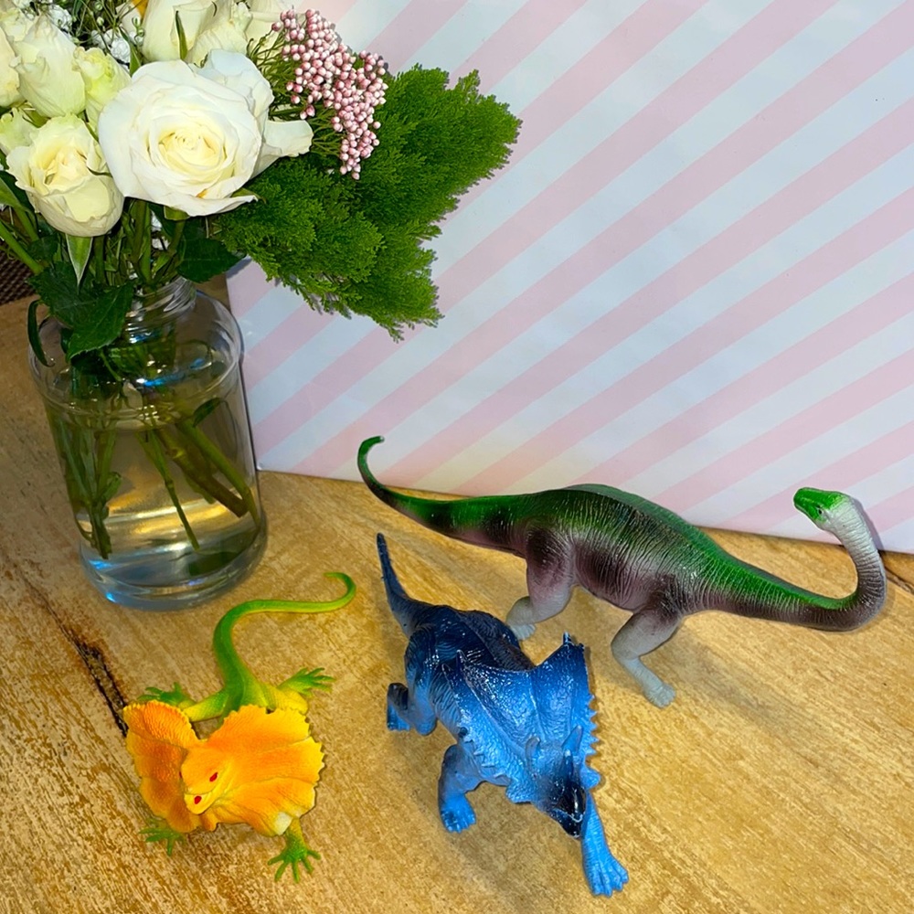 Set of 3 Dinosaurs
